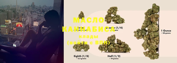 молекула духа Верхний Тагил