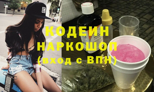 спиды Бородино