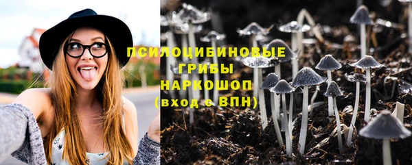 круглые Бронницы