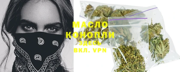 спиды Бородино