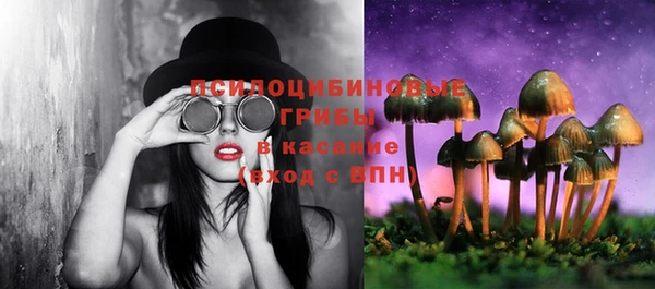 молекула духа Верхний Тагил