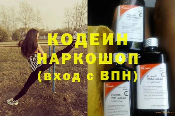 молекула духа Верхний Тагил