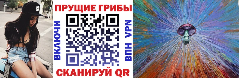 Галлюциногенные грибы GOLDEN TEACHER  даркнет сайт  Гаврилов-Ям 